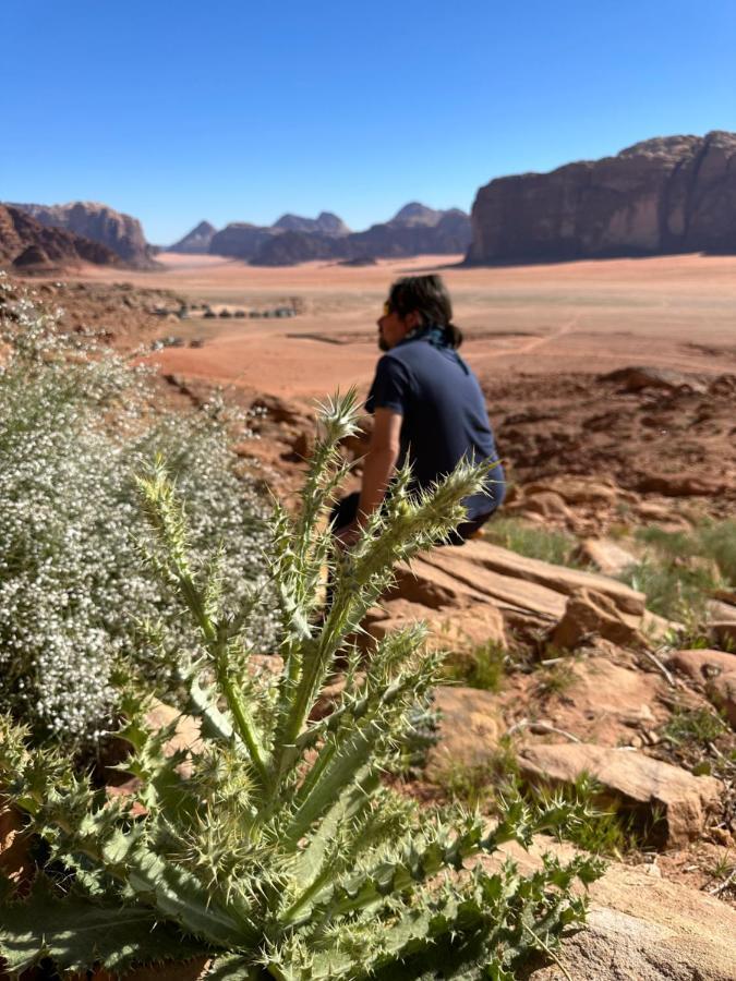 Bedouin Future Camp Hotell Wadi Rum Eksteriør bilde
