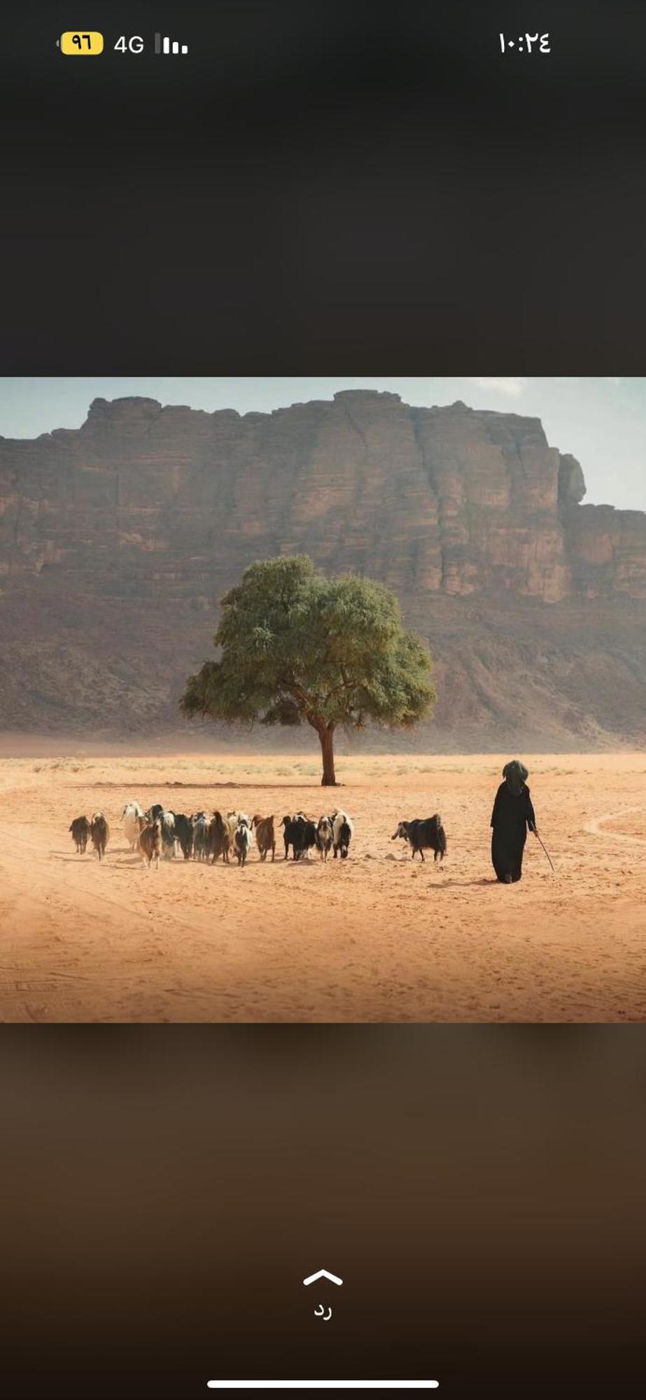 Bedouin Future Camp Hotell Wadi Rum Eksteriør bilde