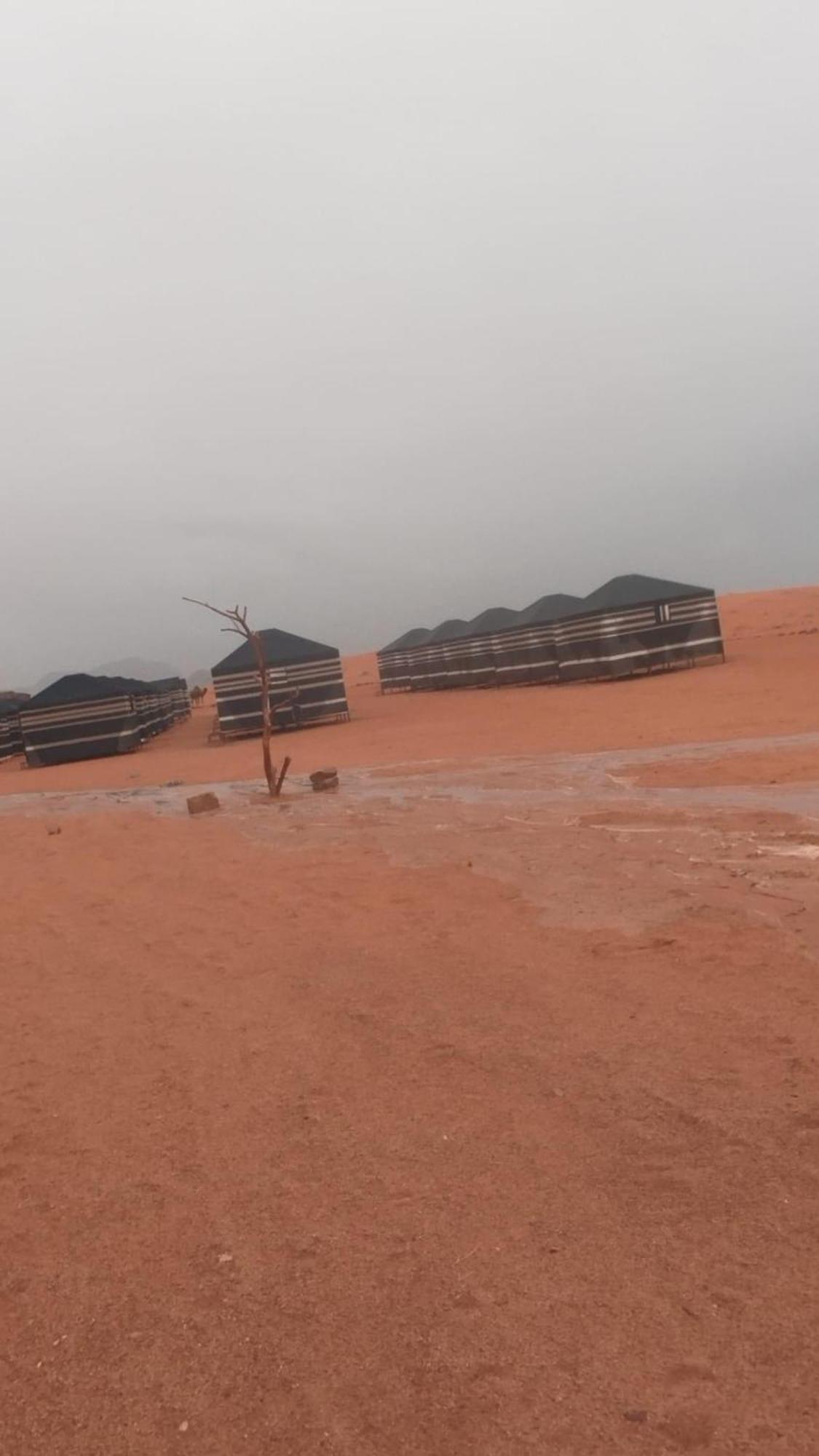 Bedouin Future Camp Hotell Wadi Rum Eksteriør bilde