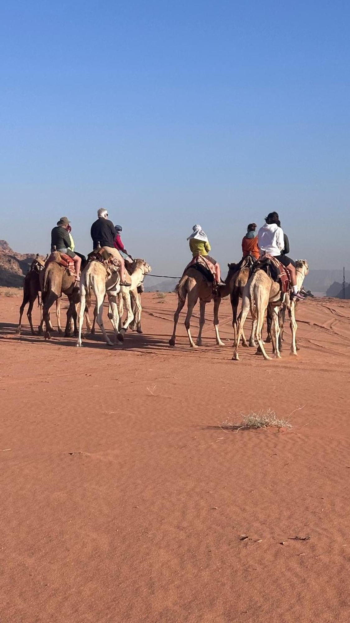 Bedouin Future Camp Hotell Wadi Rum Eksteriør bilde