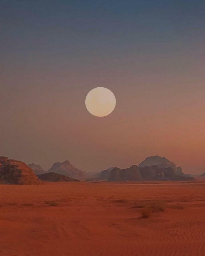 Bedouin Future Camp Hotell Wadi Rum Eksteriør bilde